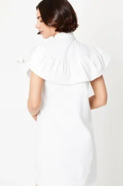 Ruffle Detail Sleeveless Denim Mini Dress