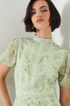 Sage Floral Dobby Chiffon Lace Trim Mini Dress