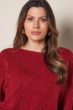 Sequin Boat Neck Knitted Jumper