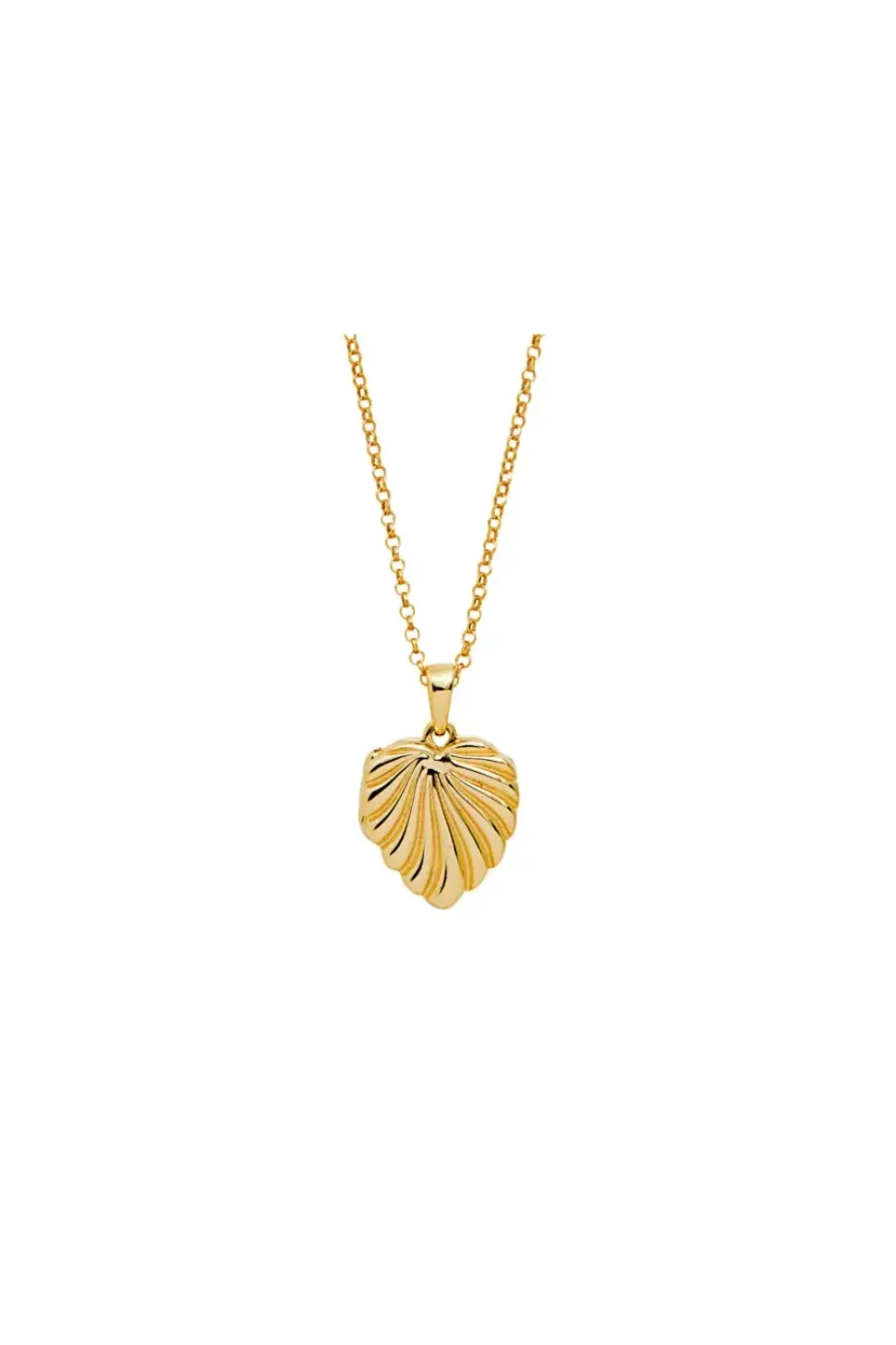 Simply Silver Gold Plated Sterling Silver 925 Heart Shell Locket Necklace