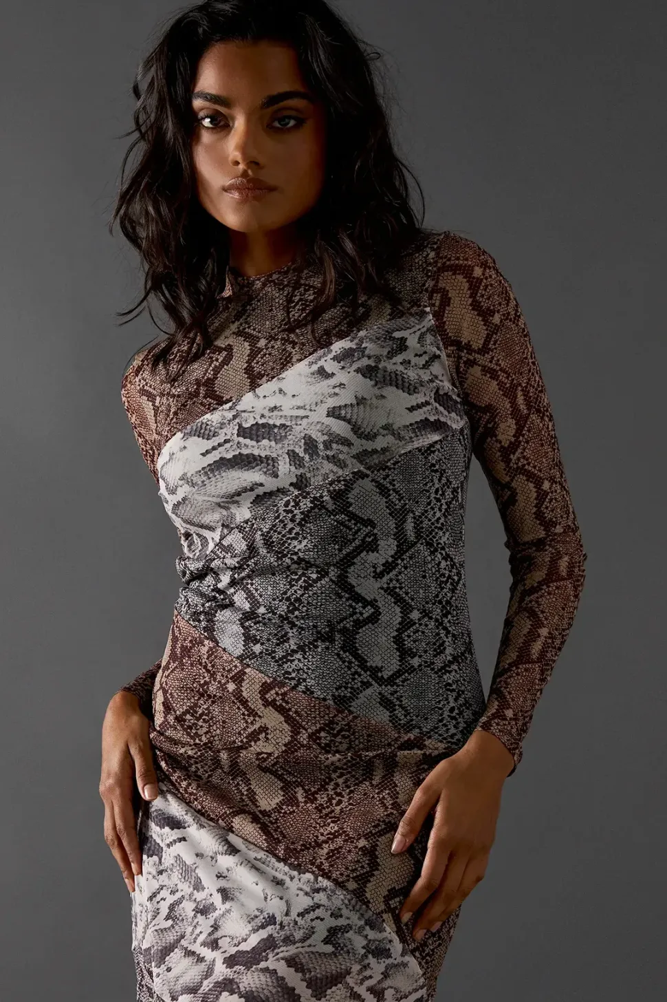 Snake Panelled Print Mesh Midi Dress