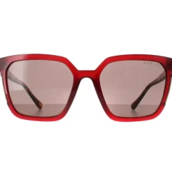 Square Transparent Burgundy Brown Allington 6506