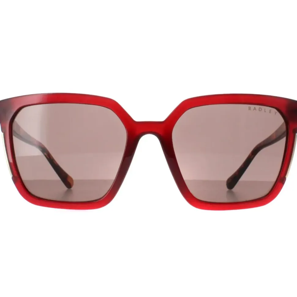 Square Transparent Burgundy Brown Allington 6506