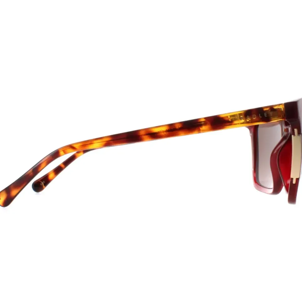 Square Transparent Burgundy Brown Allington 6506
