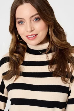 Striped Relaxed Roll Neck Jumper