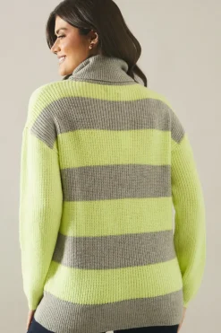 Striped Roll Neck Jumper