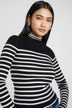 Stripe Rib Turtleneck Jumper