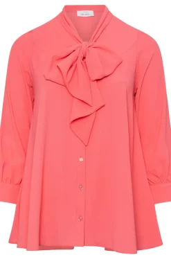 Tie Neck Blouse