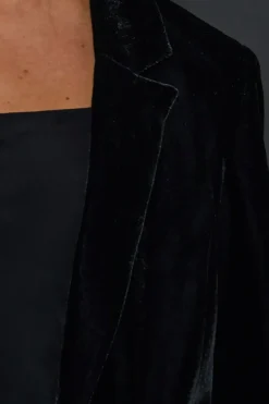 Velvet Blazer