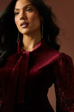 Velvet Lace Sleeve Tie Neck Blouse