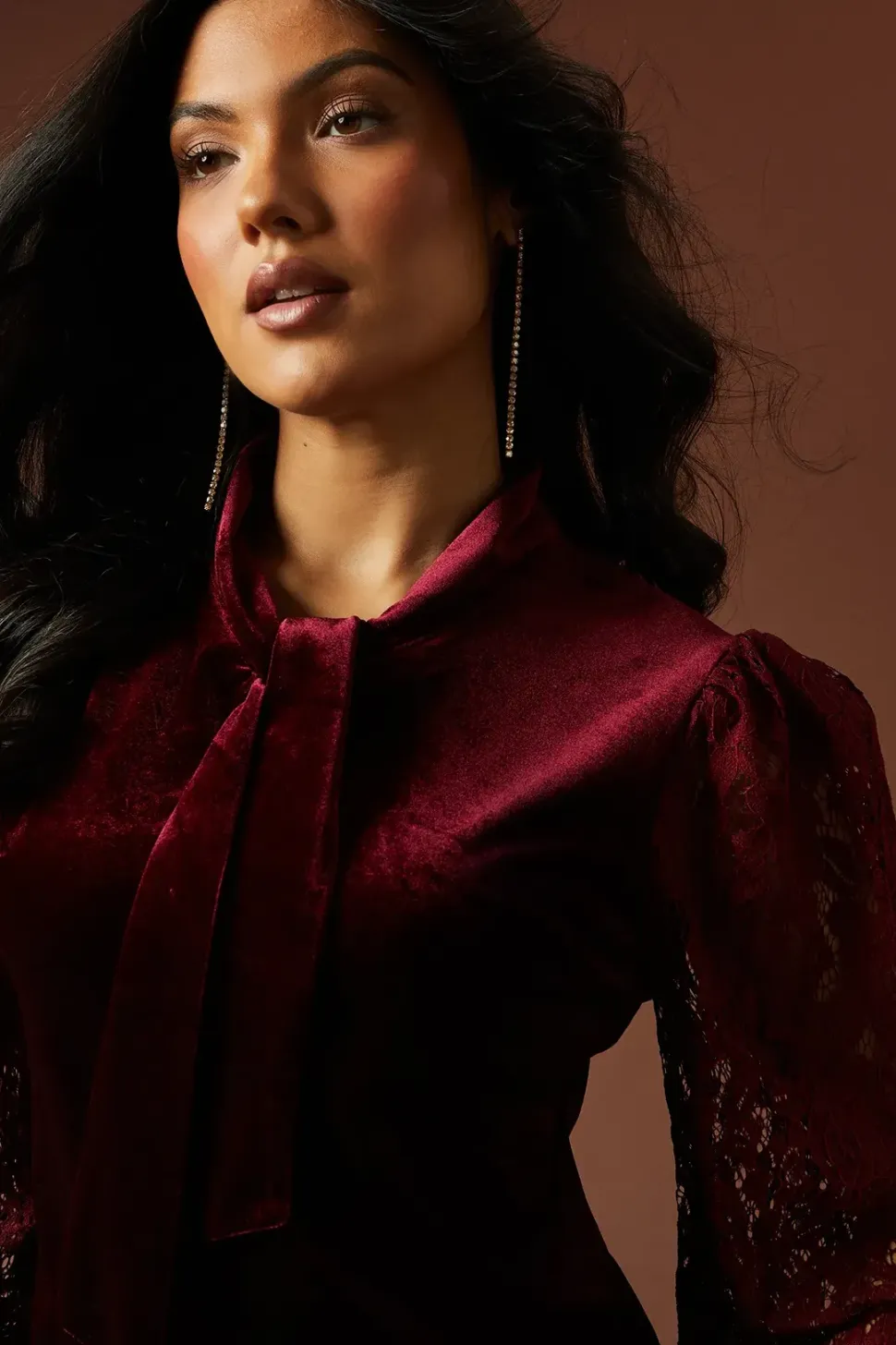 Velvet Lace Sleeve Tie Neck Blouse