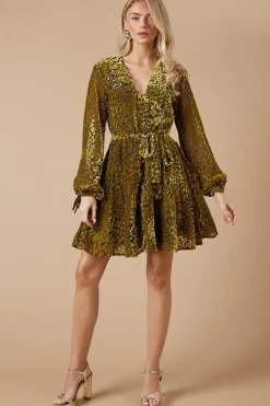 Velvet Long Sleeve Button Detail Mini Dress