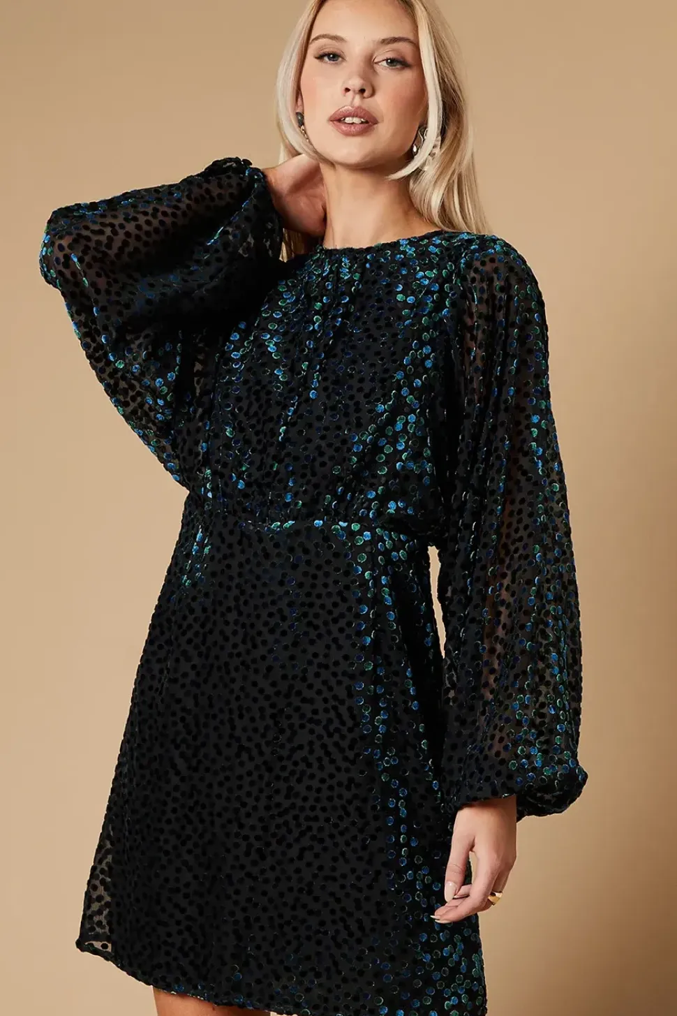 Velvet Long Sleeve Mini Dress