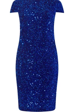 Velvet Sequin Dress