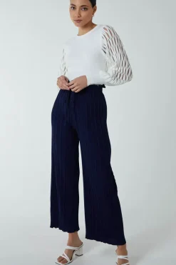 Wide Leg Pleated Trousers