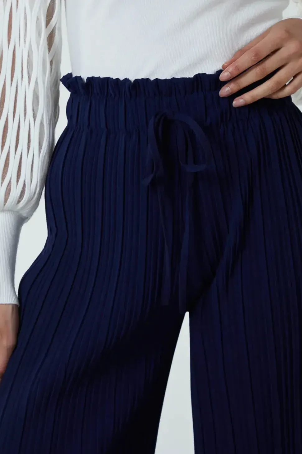 Wide Leg Pleated Trousers