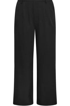 Wide Leg Pleat Front Trousers