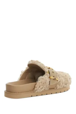 'Glorria' Mules
