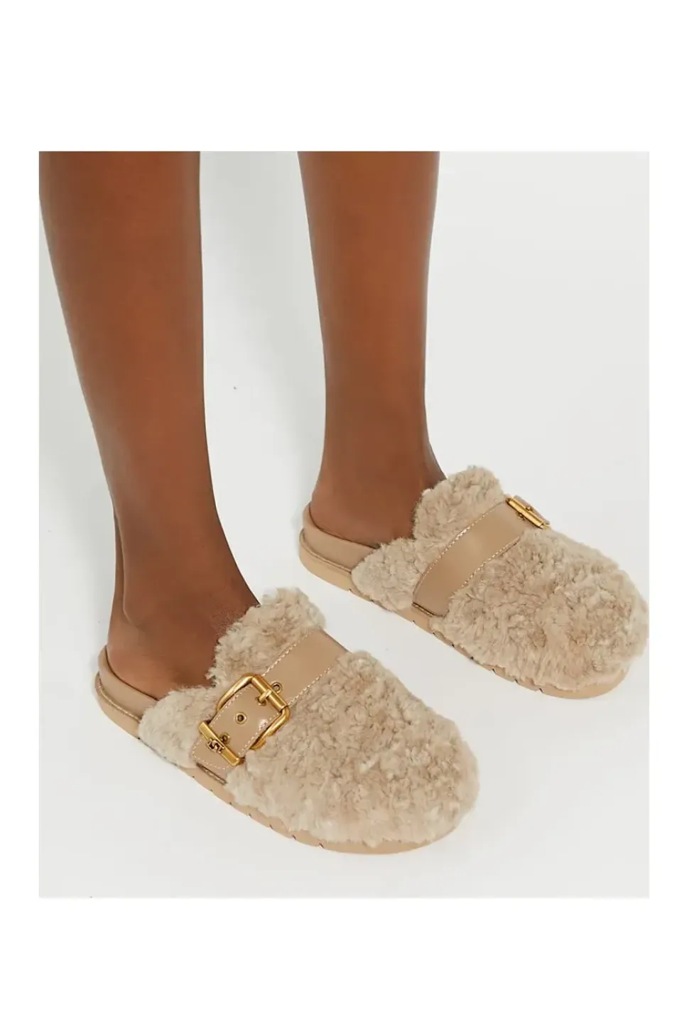 'Glorria' Mules