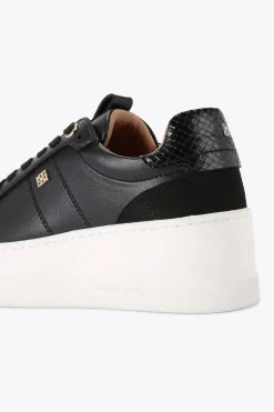 'Leader' Trainers