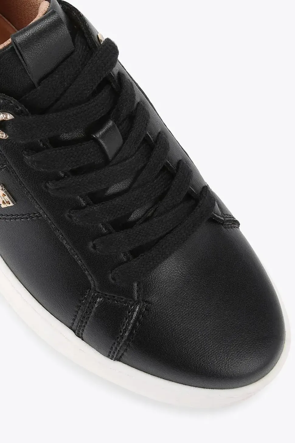 'Leader' Trainers