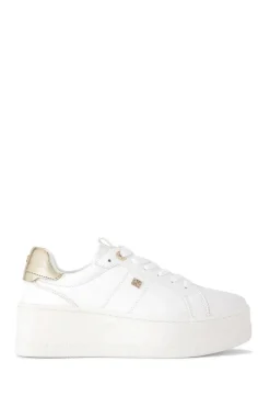 'Leader' Trainers