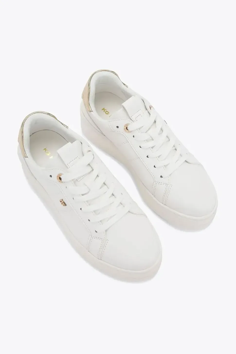 'Leader' Trainers