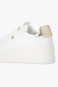 'Leader' Trainers