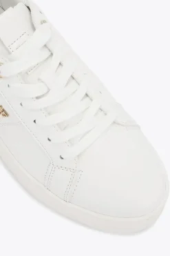 'Leader' Trainers