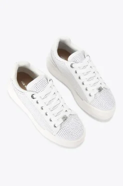 'Lilia'  Trainers