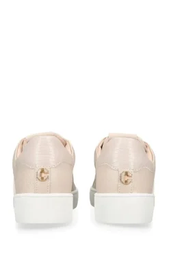 'Rapid' Trainers