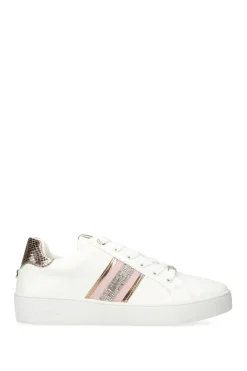 'Rapid' Trainers