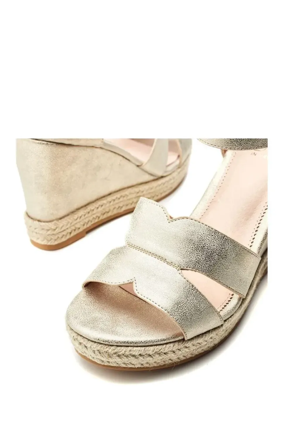 'Rikolia' Porvair Wedges