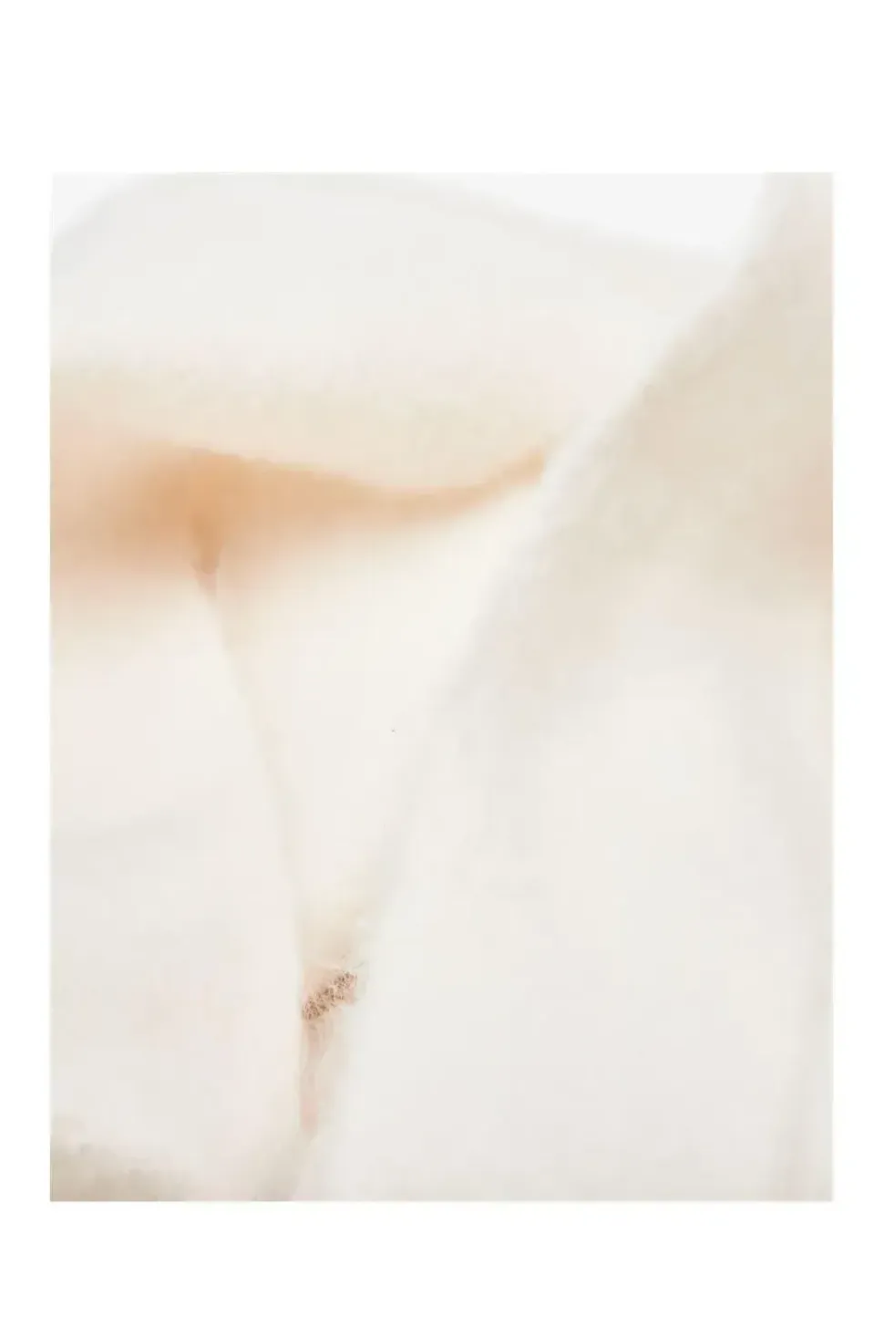 'Sareyahscarf' Textile Scarf